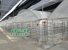 安徽芜湖食用菌温室大棚公司