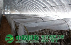 贵州毕节市食用菌温室大棚公司