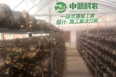 贵州安顺市食用菌温室大棚公司