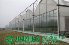 江西抚州食用菌温室大棚公司