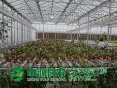 湖北省襄阳市食用菌温室大棚公司