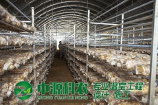 湖北省黄石市食用菌温室大棚公司