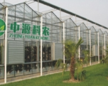河南温室公司